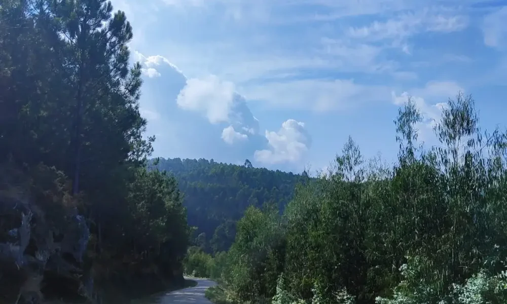 Coaching, cambia de perspectiva