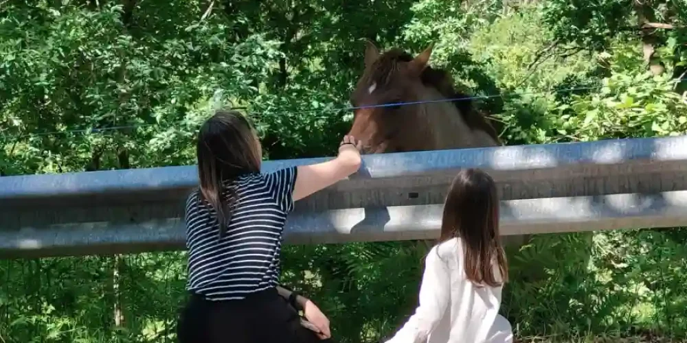 Construir los pilares desde la infancia. Sandra Acuña comparte un momento con su hija y un caballo.