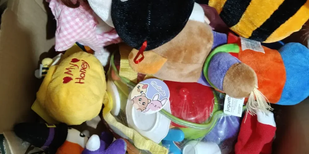 Los pilares de nuestra vida y nuestra educación representados en una caja de juguetes.